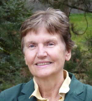 Dominique Gouillart
