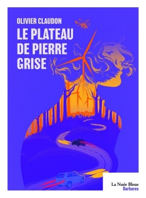 Le plateau de Pierre grise