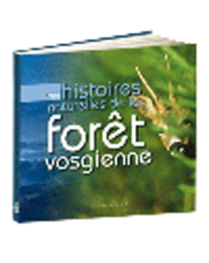 Histoires naturelles de la forêt vosgienne