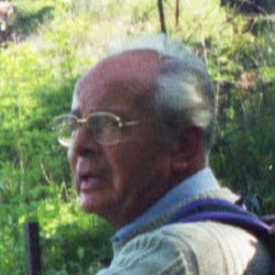 Daniel Wenger