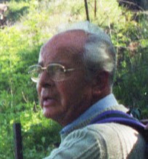 Daniel Wenger